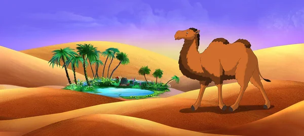 Bactrian Camel in Desert Oasis. Digital painting  full color illustration.