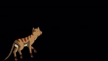 Kırmızı Tekir Kedi gidiyor. Alfa kanalında el yapımı HD görüntüler izole edildi