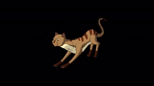 Красный Кот Тэбби Точит Свои Когти Ручной Анимационный Зацикленный Материал — стоковое видео