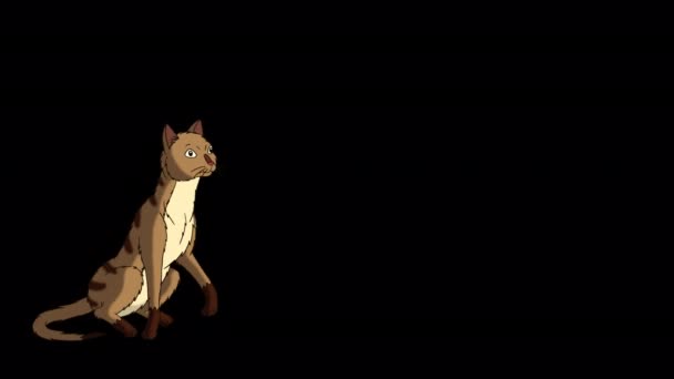 レッド タビー キャットは立ち上がって逃げ出す アルファチャンネルに隔離された手作りのアニメーションHd映像 — ストック動画