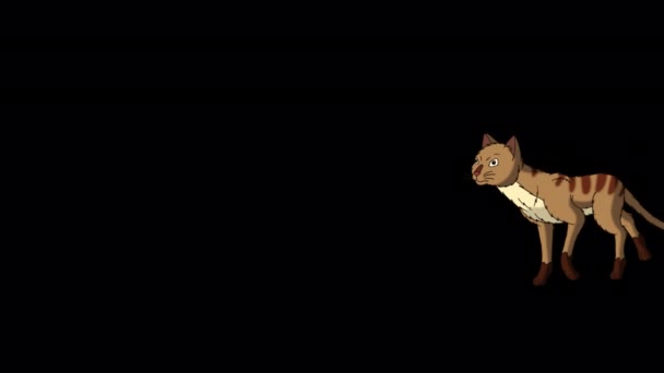 Red Tabby Cat Arrive Vidéo Boucle Animée Main Isolée Sur — Video
