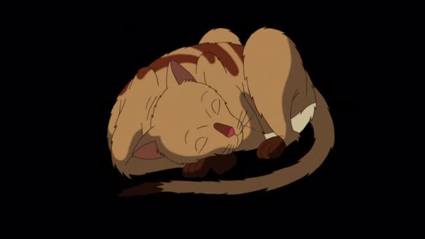 Red Tabby Cat Kłamie Śpi Ręcznie Robione Animowane Filmy Izolowane — Wideo stockowe