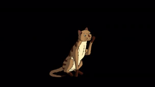 Red Tabby Cat Lèche Patte Vidéo Boucle Animée Main Isolée — Video