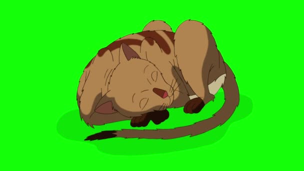 Kırmızı Tekir Kedi Yalan Söylüyor Uyuyor Yeşil Ekranda Izole Edilmiş — Stok video