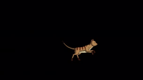 Red Tabby Cat Běhá Sem Tam Ručně Animovaný Smyčkový Záznam — Stock video