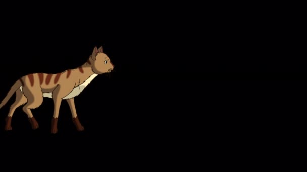 Red Tabby Cat Walks Handmade Animated Looped Footage Isolated Alpha — 비디오