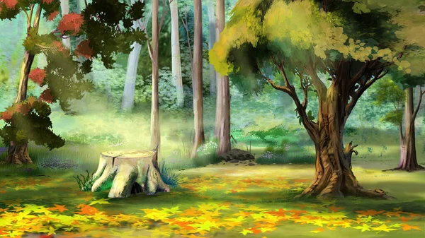 Beautiful View Old Tree Stump Autumn Forest Digital Painting Background Stock Image