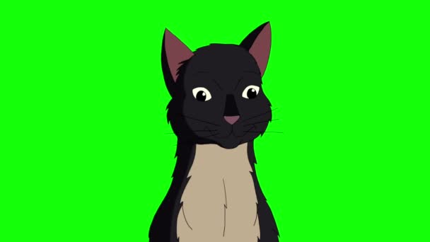 Czarny Kot Miauczy Klucz Chroma Ręcznie Robione Animowane Filmy Izolowane — Wideo stockowe