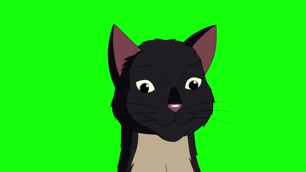 Black Cat Mňouká Zblízka Chroma Klíč Ruční Animované Smyčkové Záběry — Stock video