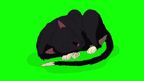 Black Cat Liegt Und Schläft Chroma Key Handgemachtes Animiertes Looping — Stockvideo