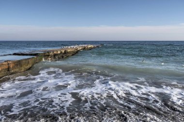 Odessa, Ukrayna 29.12.2022. Ukrayna, Odessa 'da, güneşli bir kış gününde terk edilmiş Lanzheron plajı.
