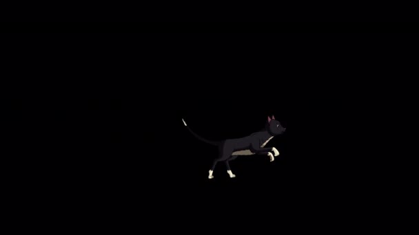 Black Cat Läuft Hin Und Her Handgemachtes Animiertes Looping Material — Stockvideo