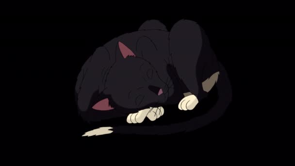 Black Cat Lies Sleeps Handmade Animated Looped Footage Isolated Alpha — Vídeo de stock