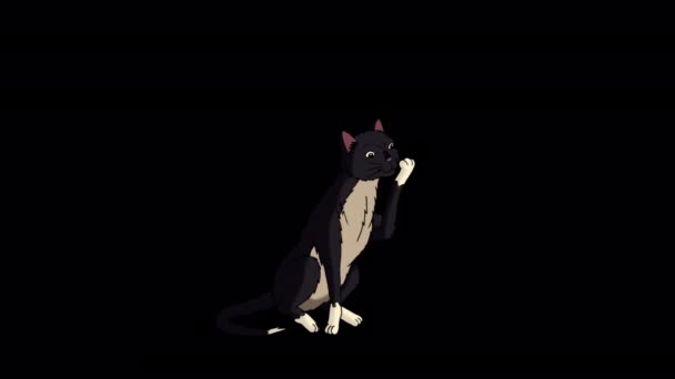 Черная Кошка Лижет Свою Лапу Ручной Анимационный Зацикленный Материал Изолированный — стоковое видео