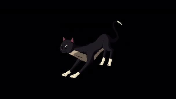 Black Cat Sharpening Its Claws Handmade Animated Looped Footage Isolated — Video