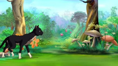 Domestic Black cat walking in the forest at day. Handmade animated looped HD footage.