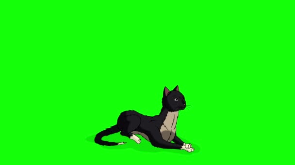 Black Cat Sits Lies Gets Again Chroma Key Handmade Animated — Stockvideo