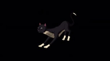 Black Cat sharpening its claws. Handmade animated looped 4K footage isolated on alpha channel