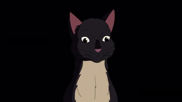 Black Cat Meows Handmade Animated Looped Footage Isolated Alpha Channel — Vídeo de Stock