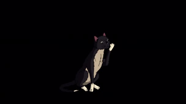 Black Cat Licking Its Paw Handmade Animated Looped Footage Isolated — Video
