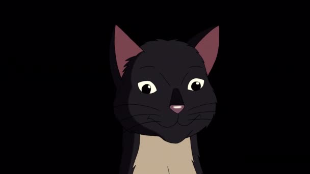Black Cat Meows Close Handmade Animated Looped Footage Isolated Alpha — Vídeos de Stock