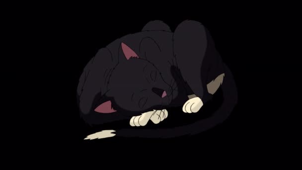 Black Cat Lies Sleeps Handmade Animated Looped Footage Isolated Alpha — Video