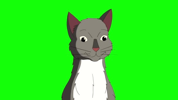 Gray Tabby Cat Meows Handmade Animated Looped Footage Isolated Green — Stockvideo