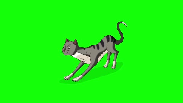 Gray Tabby Cat Sharpening Its Claws Handmade Animated Looped Footage — Stockvideo