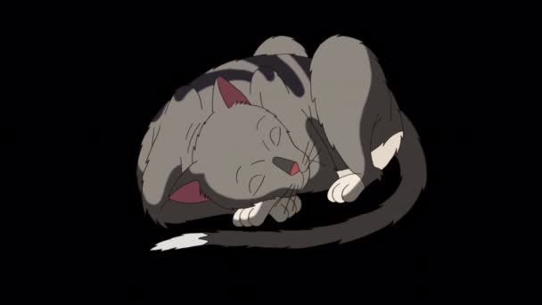 Gray Tabby Cat Lies Sleeps Handmade Animated Looped Footage Isolated — Video