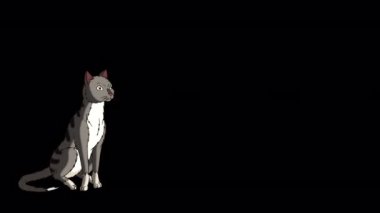 Gray tabby Cat moves from place to place. Handmade animated HD footage isolated on alpha channel