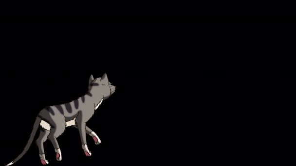 Gray Tabby Cat Leaves Handmade Animated Looped Footage Isolated Alpha — Video