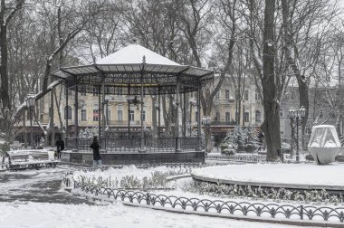 Odessa, Ukraine 29.01.2023. Gloomy winter day on the city garden in Odessa, Ukraine