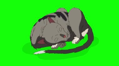 Gray tabby Cat lies and sleeps chroma key. Handmade animated looped 4K footage isolated on green screen