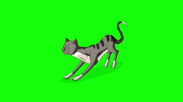 Gray Tabby Cat Sharpening Its Claws Chroma Key Handmade Animated — Stockvideo