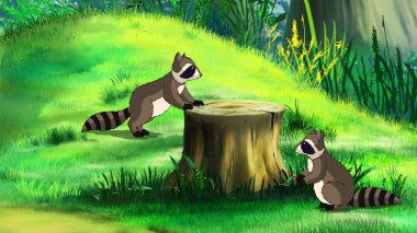 Raccoons in a forest glade on a sunny summer day. Digital Painting Background, Illustration.