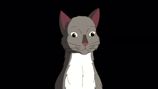 Gray Tabby Cat Meows Handmade Animated Looped Footage Isolated Alpha — Video