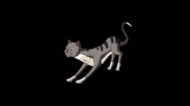 Gray Tabby Cat Sharpening Its Claws Handmade Animated Looped Footage — Video