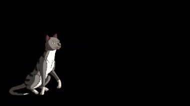 Gray tabby Cat gets up and runs away. Handmade animated 4K footage isolated on alpha channel