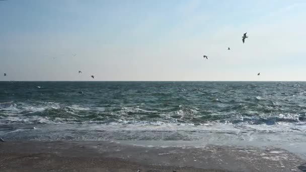 Odessa Ukraine 2023 Coast Stormy Black Sea Lanzheron Beach Odessa — Stockvideo
