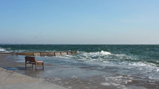 ウクライナのオデッサ08 2023 ウクライナのオデッサのLanzheronビーチの嵐の黒海の海岸 晴れた冬の日 — ストック動画