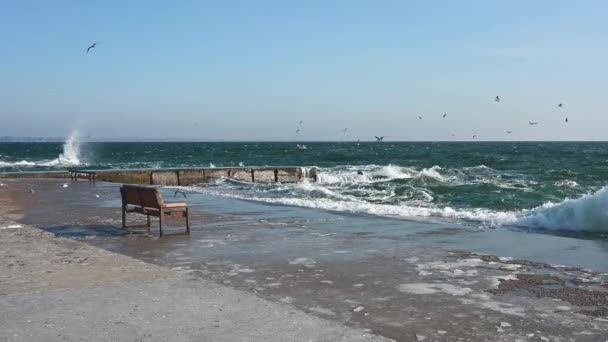 Odessa Ukraine 2023 Coast Stormy Black Sea Lanzheron Beach Odessa — Stok video