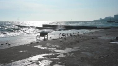 Odessa, Ukraine 08.02.2023. The coast of the Black Sea on Lanzheron beach in Odessa, Ukraine, on a sunny winter day