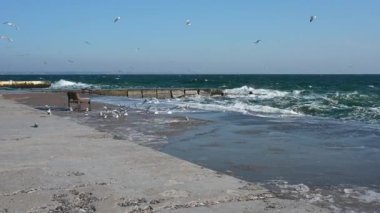 Odessa, Ukraine 08.02.2023. The coast of the Black Sea on Lanzheron beach in Odessa, Ukraine, on a sunny winter day