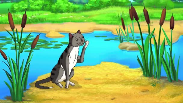 Γκρίζος Γάτος Κάθεται Δίπλα Μια Λίμνη Την Ημέρα Χειροποίητο Κινούμενο — Αρχείο Βίντεο