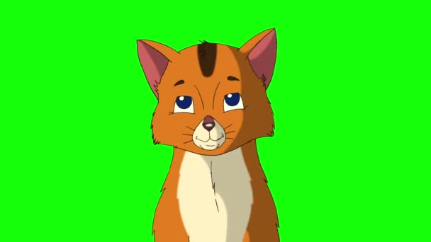 小さな赤いタビー子猫のネズミ 緑の画面に隔離された手作りのアニメーションループHd映像 — ストック動画