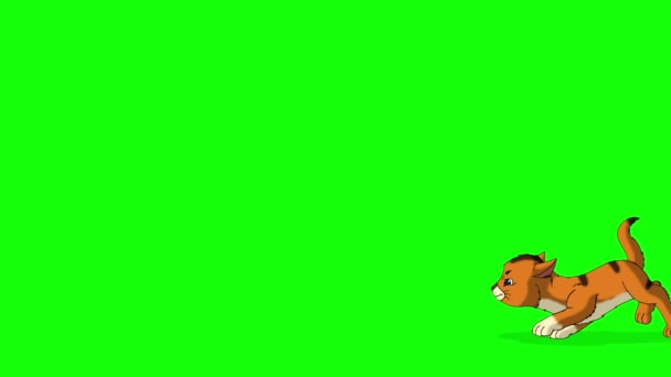 Red Tabby Kitten Plays Butterfly Handmade Animated Looped Footage Isolated — Vídeo de Stock