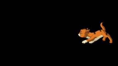Red Tabby kitten sneaking. Handmade animated looped HD footage isolated on alpha channel