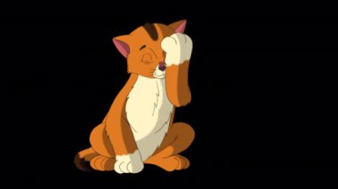 Little red tabby kitten washes himself. Handmade animated looped HD footage isolated on alpha channel