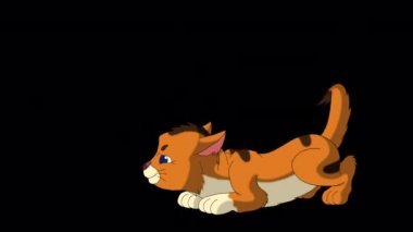 Little red tabby is angry and hissing. Handmade animated looped HD footage isolated on alpha channel