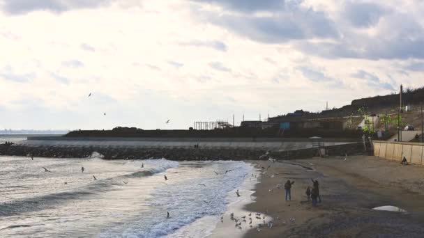 Wybrzeże Morza Czarnego Pobliżu Wioski Fontanka Odessie Ukraina Słoneczny Zimowy — Wideo stockowe